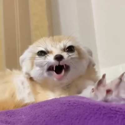 *yawn*