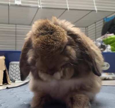 Cutest thing ever