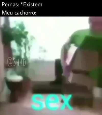 Ui ui chexo
