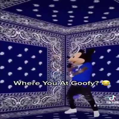 🤨📸📸📸