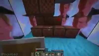 Someone dies in minecraft.