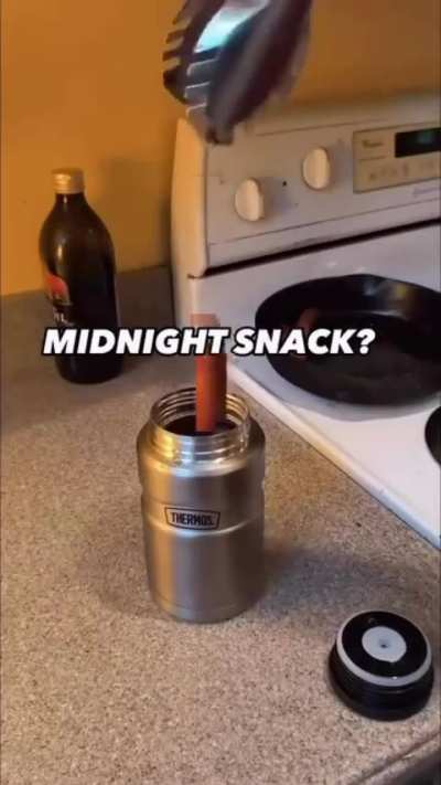 Thermos mug&amp;gt;&amp;gt;&amp;gt;Ziploc Bag