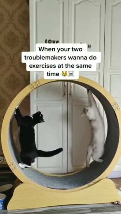 My brain working 