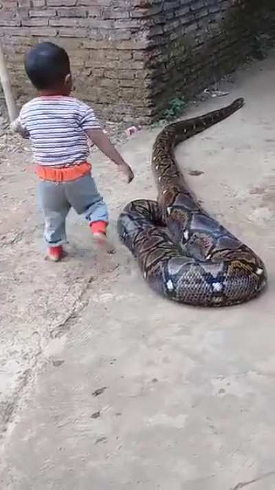 What the hell is going on here
