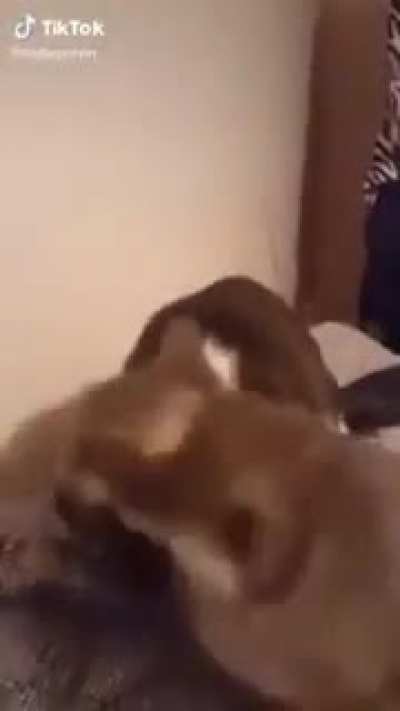 Another one bites the butt (perfectly cut scream)