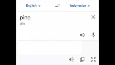 Pinus gang