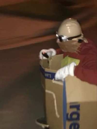 eggman