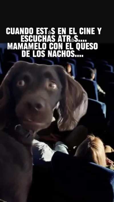 Ave Mar&iacute;a yo no quer&iacute;a 