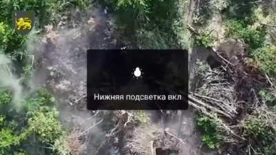 Ukrainian 60th Mechanized Brigade's 98th Battalion drone team targeted Russian infantry in a tree line with dropped munitions, landing good hits