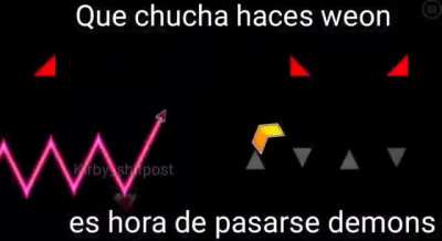 Que chucha hacen weon viendo porno furro