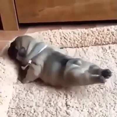 Puppy leg stretch