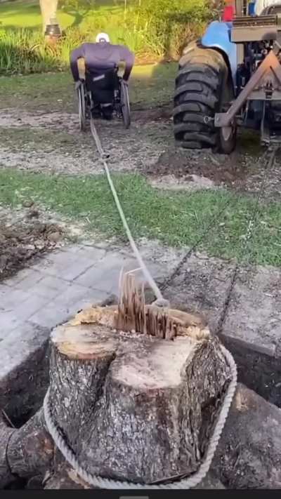 &Ccedil;ek anana &ccedil;ek 