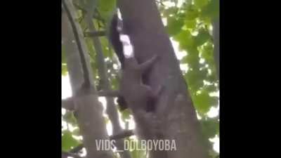 Fuck...