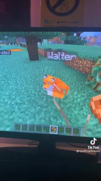 Hi Walter