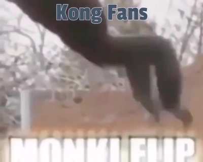 Monke team