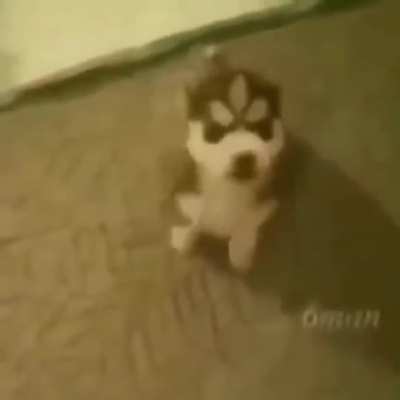 Awww