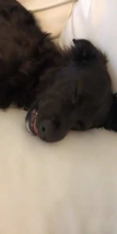 dreaming about eating corn i guess