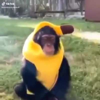 They say you&rsquo;re what you eat