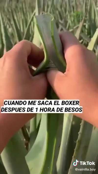 Pegajoso