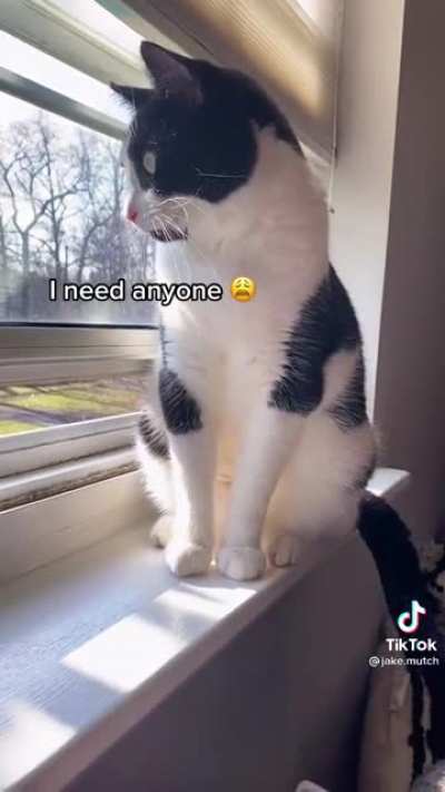 Puss blues
