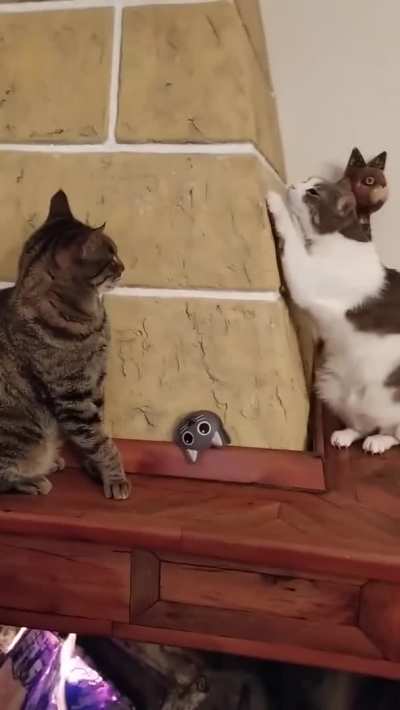 Cheeky taps