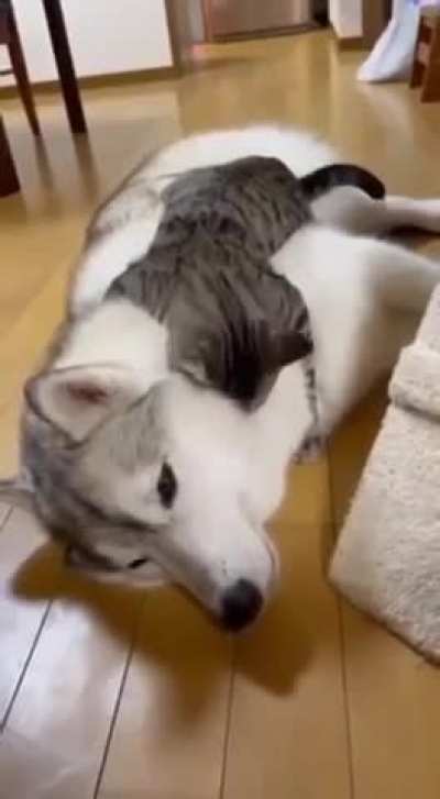 Clingy? Nah