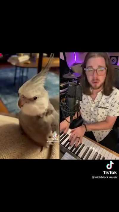 🎶The good seed🎶