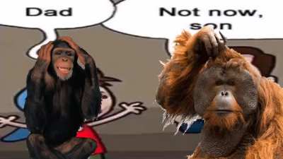 PROTECT YOU APE