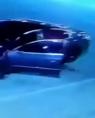 WHAT THE FUCK GOING ON IN MIAMI