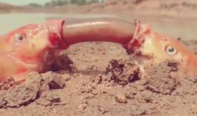 Mmmmmmmmmmmmm