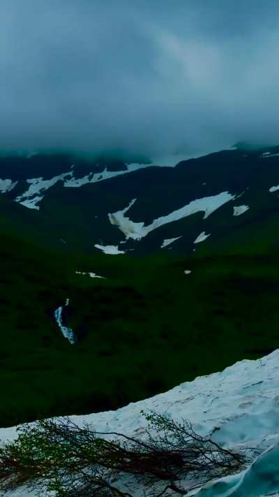 Posting various pictures and videos of bears and other animals I&rsquo;ve taken here in Alaska until the next OKBV stream, day 365, ❤️💙💚