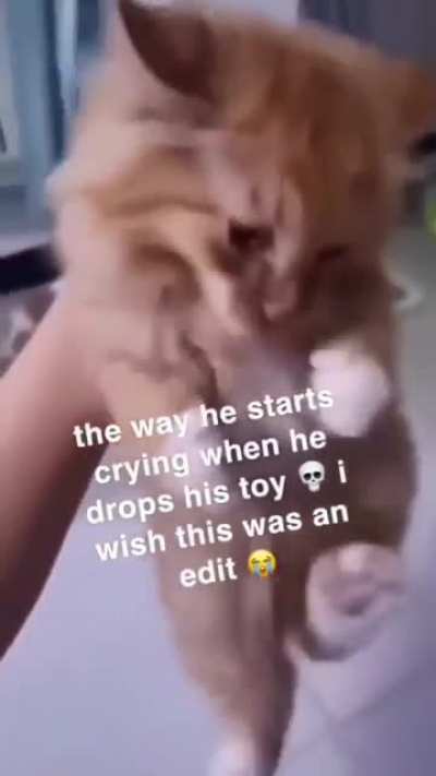 *not mine*