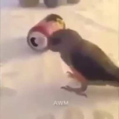 Bruh