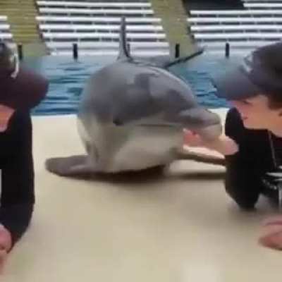 Полюбому мужик