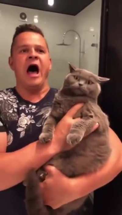 Human tried sound attack, it was super effective!