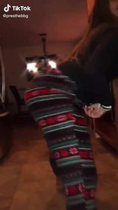 Friends twerking