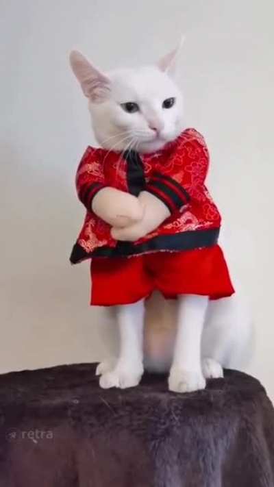 MaRtIAl ArtISt sTriKeS dEaDlY bACk
