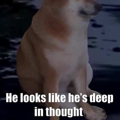 Le philosophical thinker has arrived