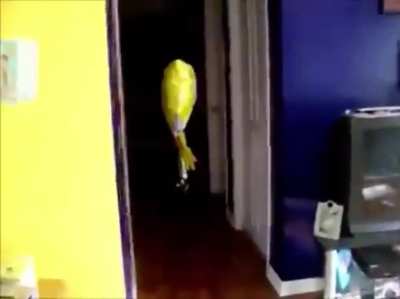 cursed_spunchbob