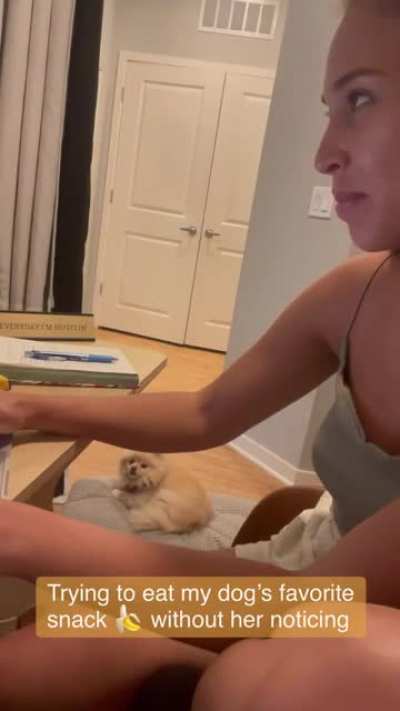 Every move you make, ever bite you take, I&rsquo;ll be watching you!