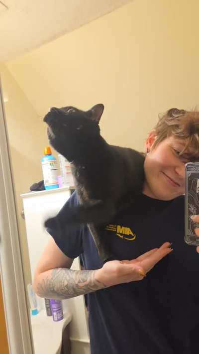This is our first post here! This is Nova. He's a silly lad.