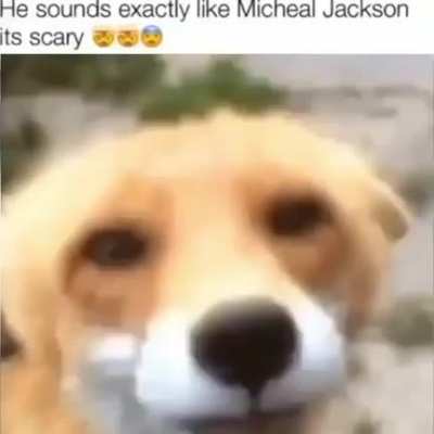 Cummy