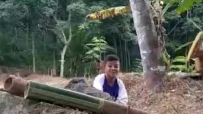 Bamboo cannon