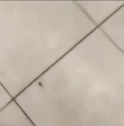 Bye bye bug