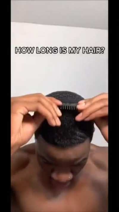 xd
