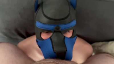 First Pup video