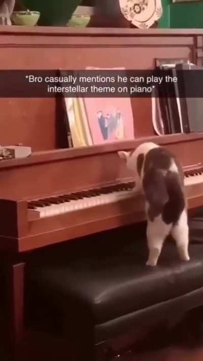 Kitty&rsquo;s the entertainment of the evening