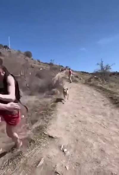 Snek running