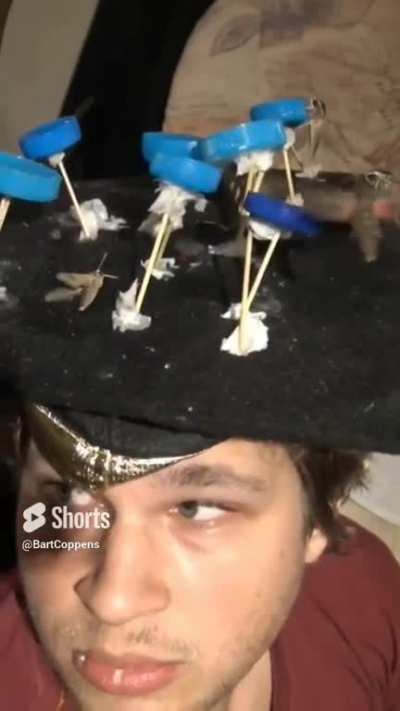 What Magnus Carlsen has been up to in his free time since resigning the world champion title