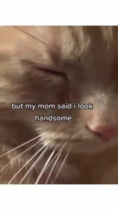 mommy